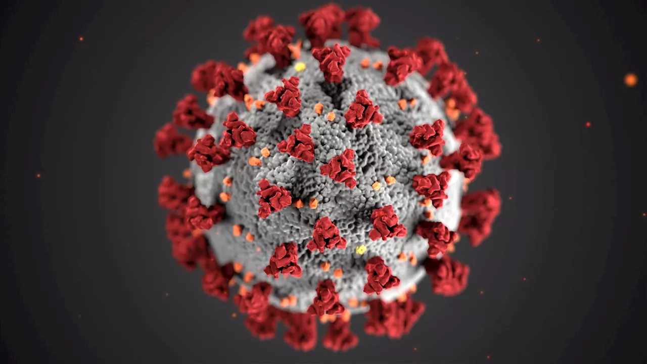 Preclinical data suggest antioxidant strategy to address mitochondrial dysfunction caused by SARS-CoV-2 virus