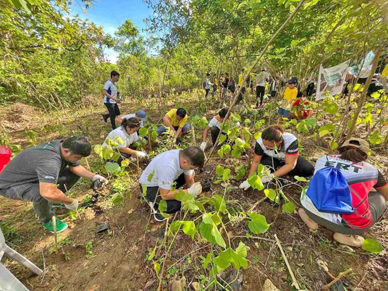 Aboitiz Group units plant over 2,500 seedlings