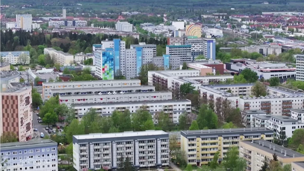 Stadtvertreterwahl Neubrandenburg: AfD voraussichtlich stärkste Kraft