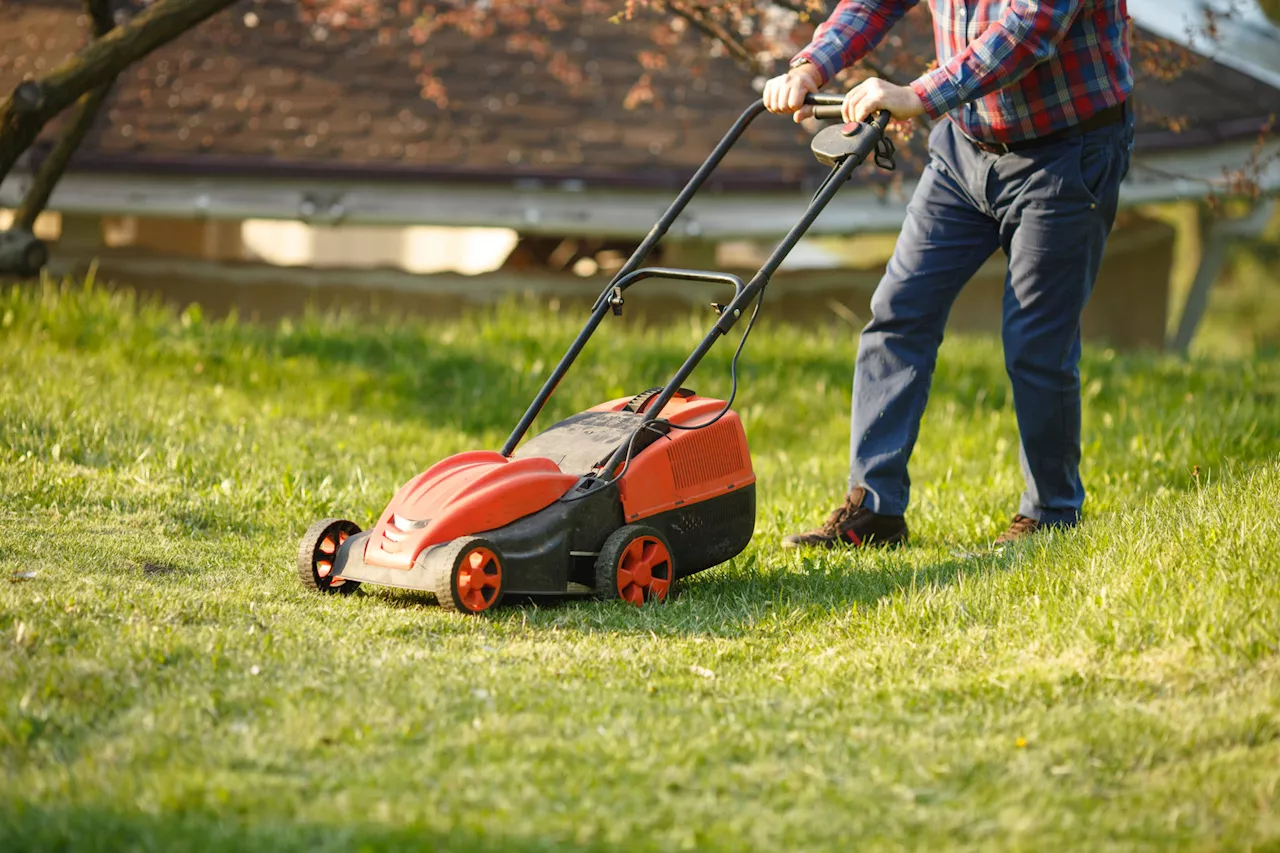 ‘It’s a hell of a lot of noise’ – Should we ban lawnmowers in the morning?