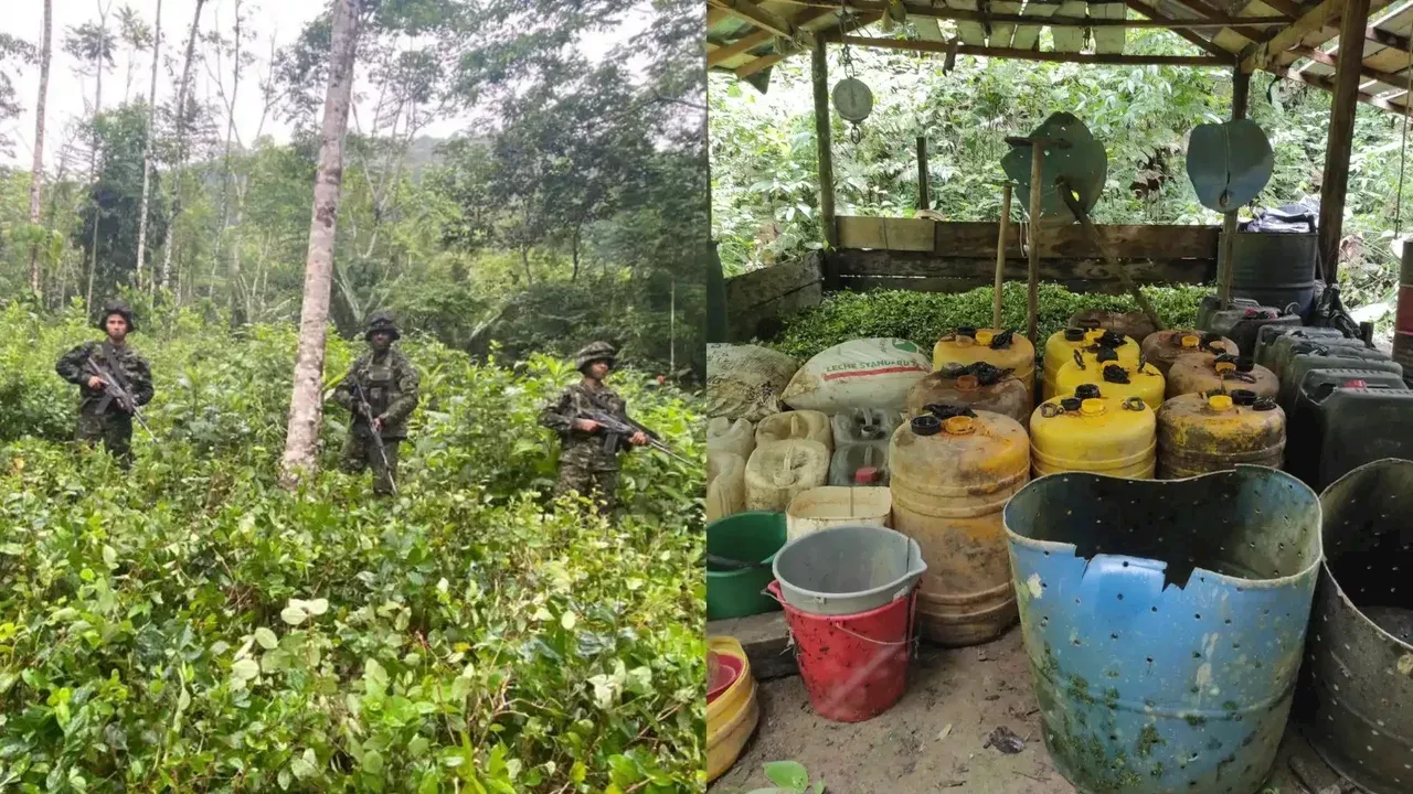 Golpe al Clan del Golfo: Ejército desmanteló cinco laboratorios de coca en Córdoba