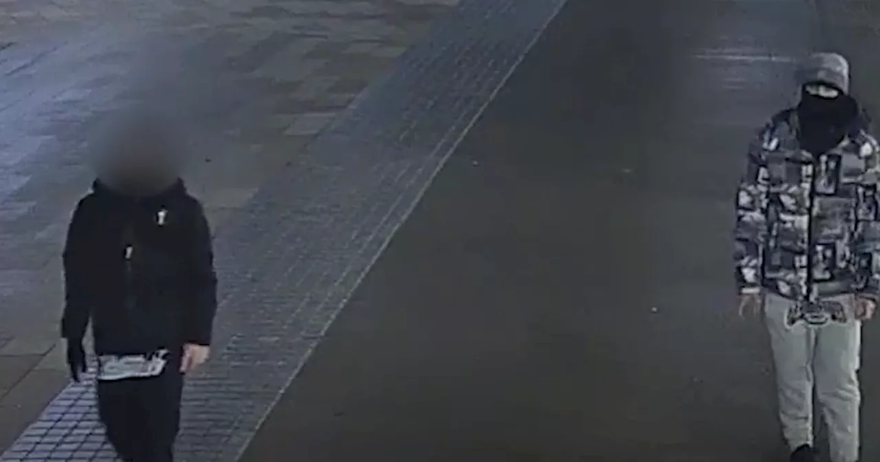 Chilling CCTV shows teens pick up brick used in skate park murder