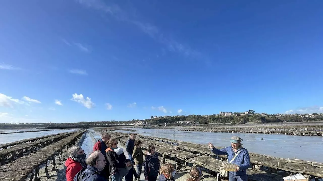 Tourisme : notre escapade dans les parcs à huîtres de Cancale