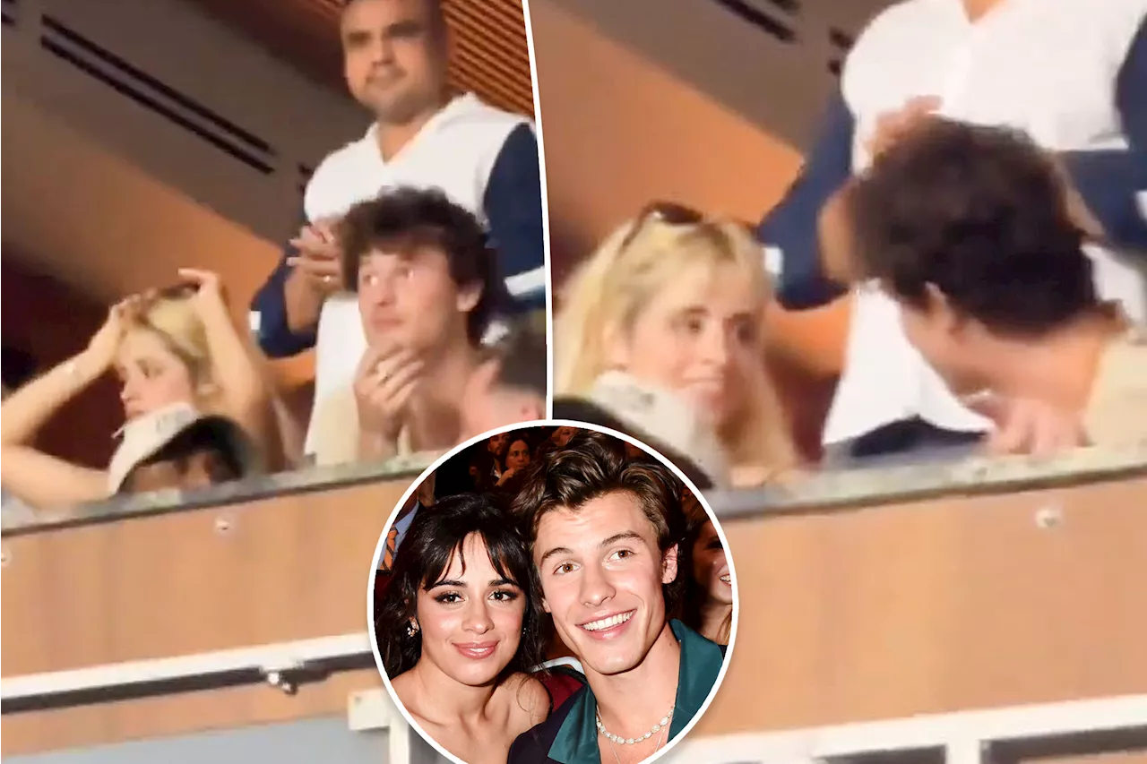 Camila Cabello and Shawn Mendes spark reconciliation rumors at Copa América final