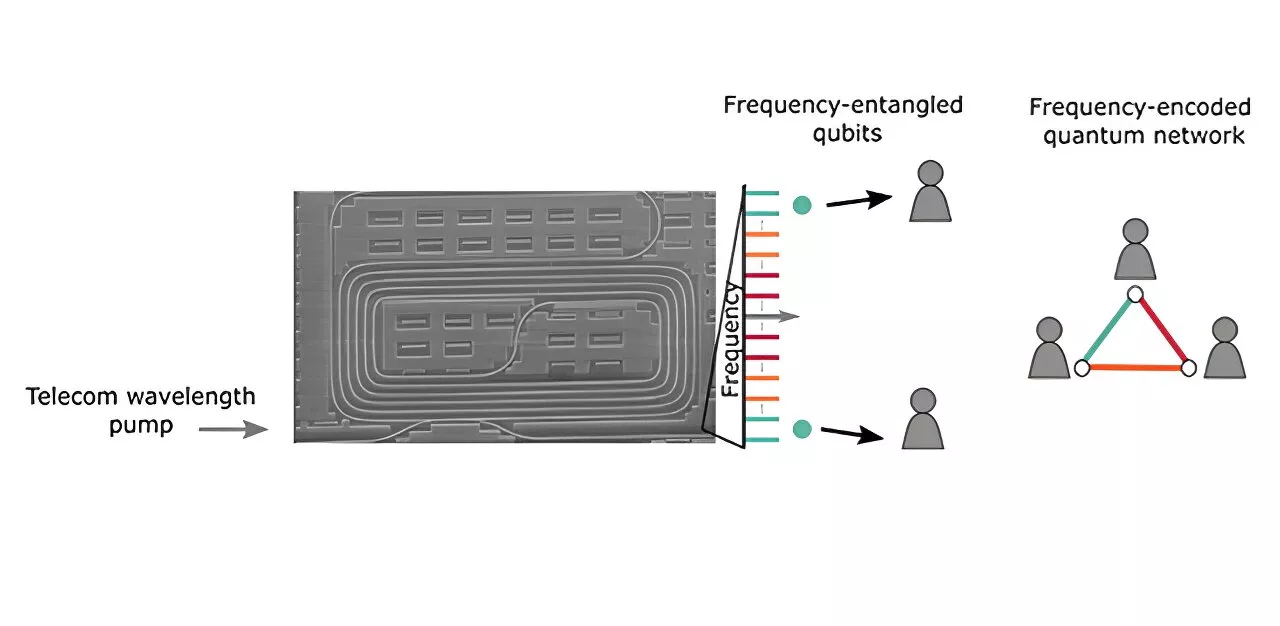 Silicon photonics light the way toward large-scale applications in quantum information