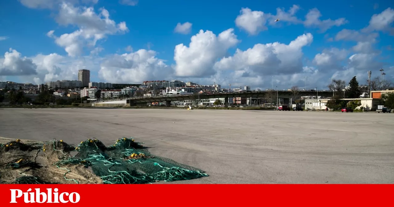 Oeiras confirma que pescadores da doca de Pedrouços vão ter novo porto de abrigo em Paço de Arcos