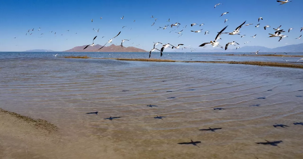 Can a conservative think tank help save the Great Salt Lake?