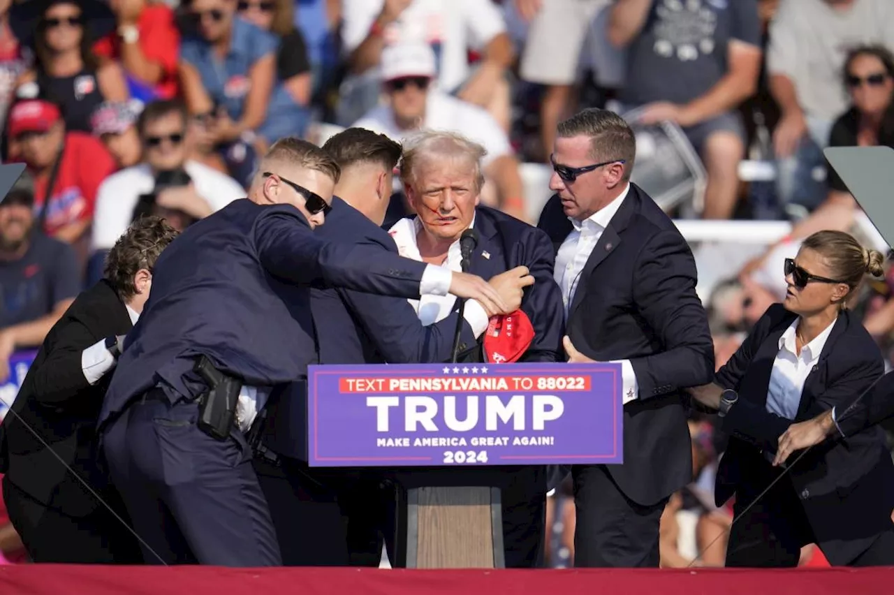 'I'm supposed to be dead' Trump tells NYP after assassination bid