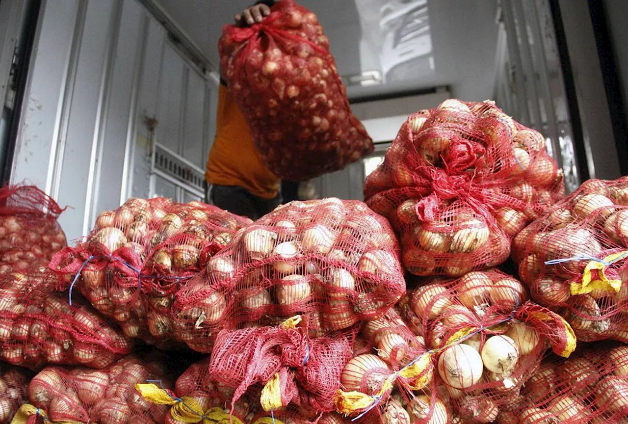 Onion import ban extended to August