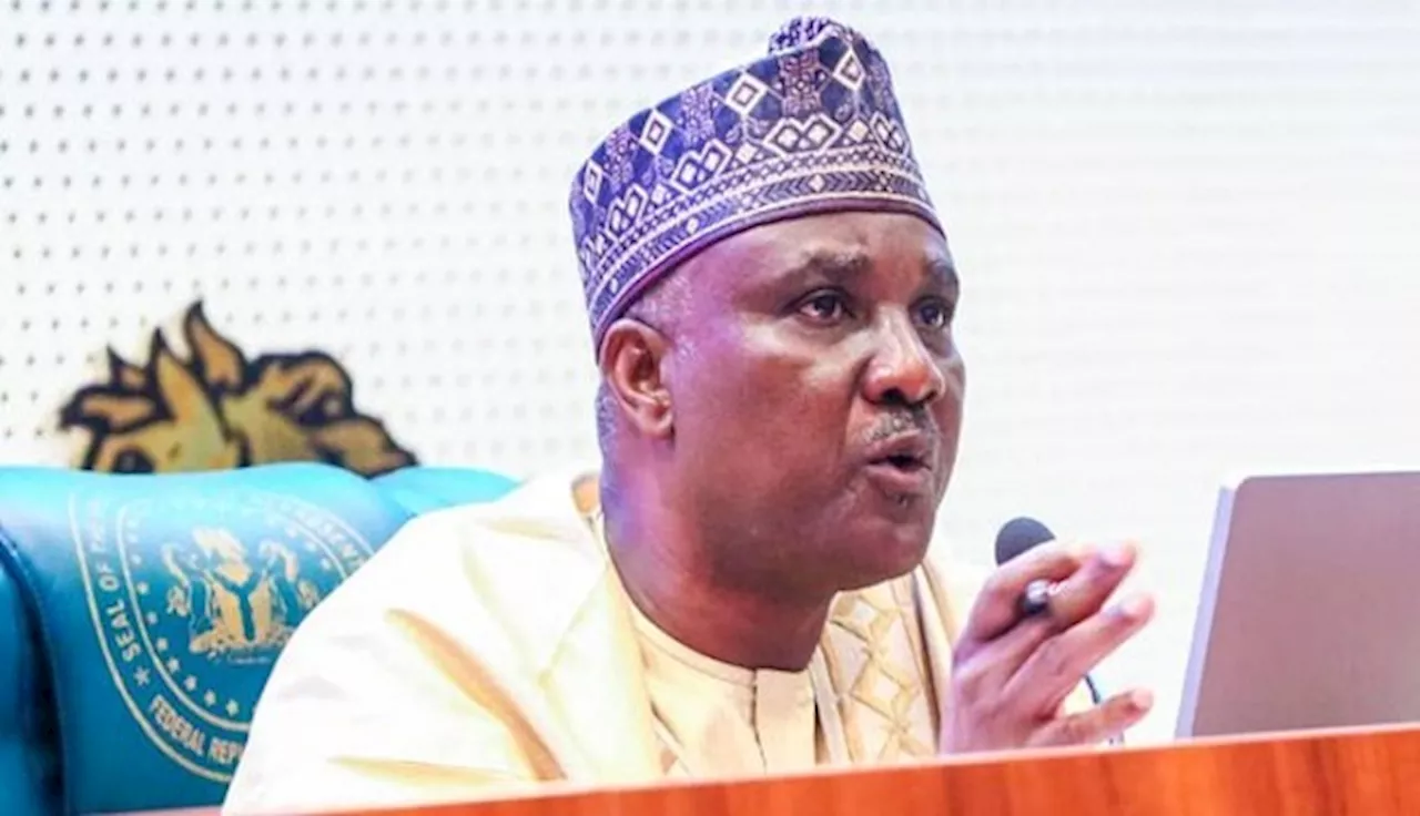 Illegal mining responsible for 80 percent of insecurity in northwest, says Speaker Abbas