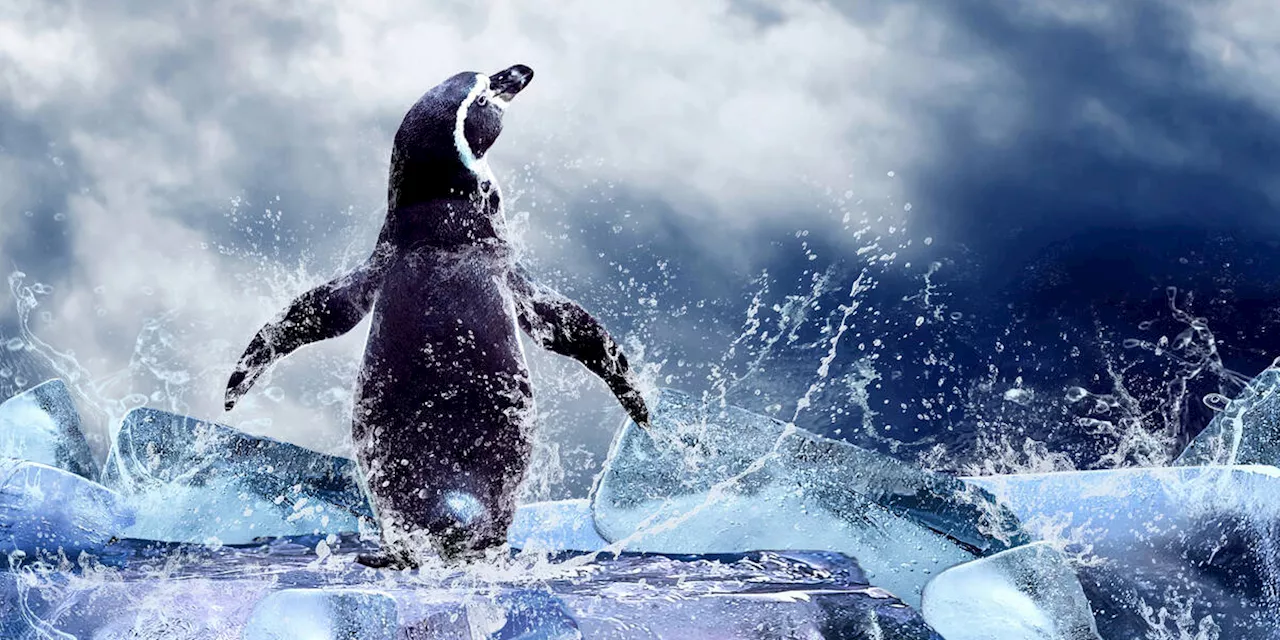 Linux kernel 6.10 arrives with punched-up hardware support