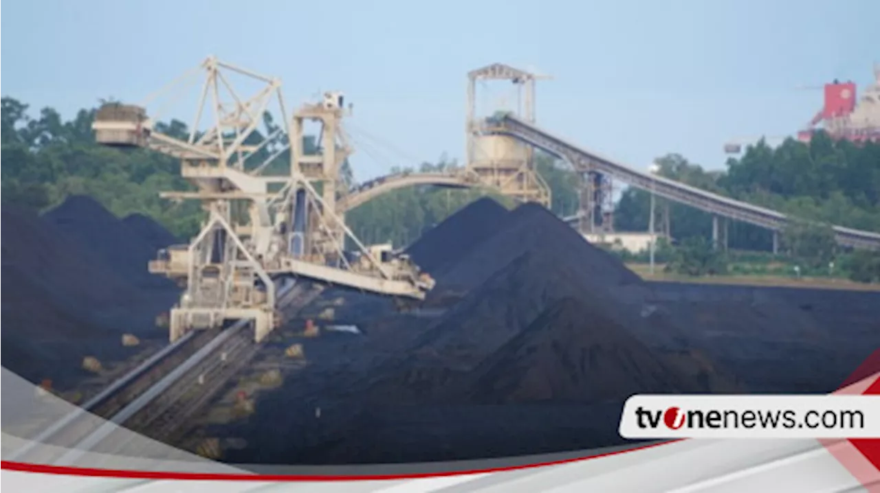 51 Tahun, PT Bumi Resources Tbk (BUMI) Berhasil Produksi 77,8 Juta Ton Batubara Dalam Setahun