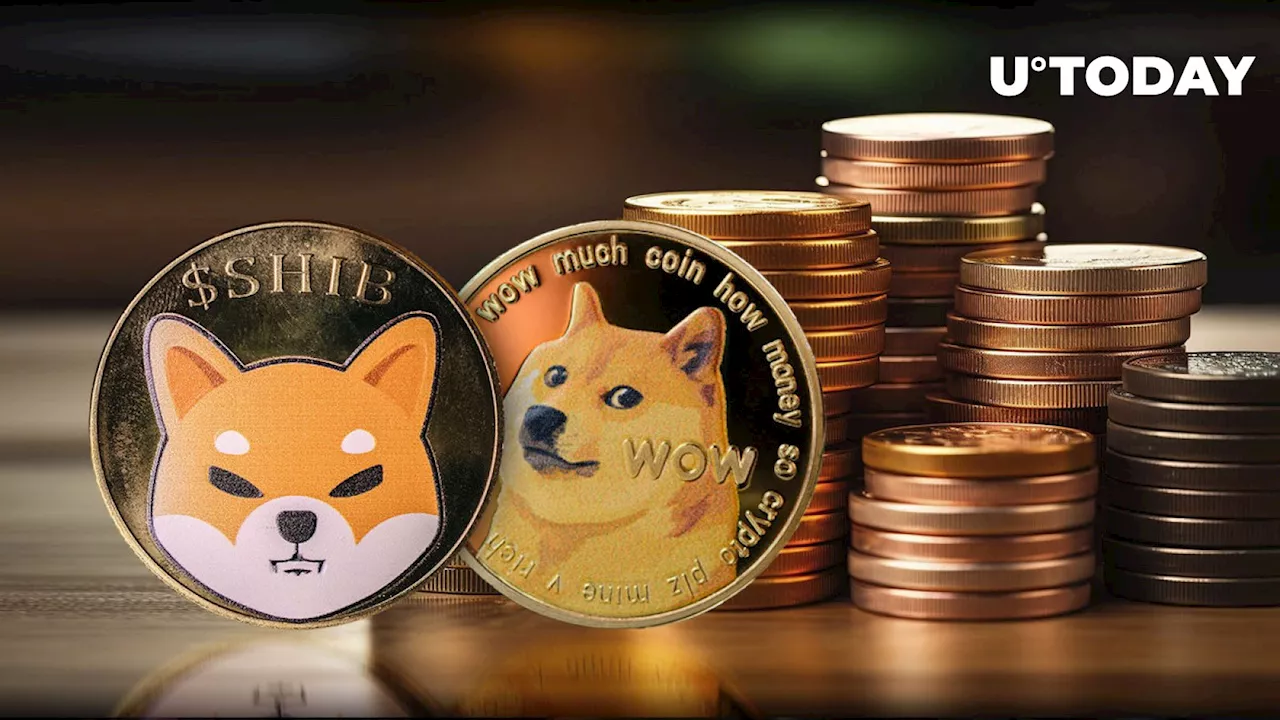 Beyond SHIB, DOGE: Meme Coin Recovery Brings Unexpected Result