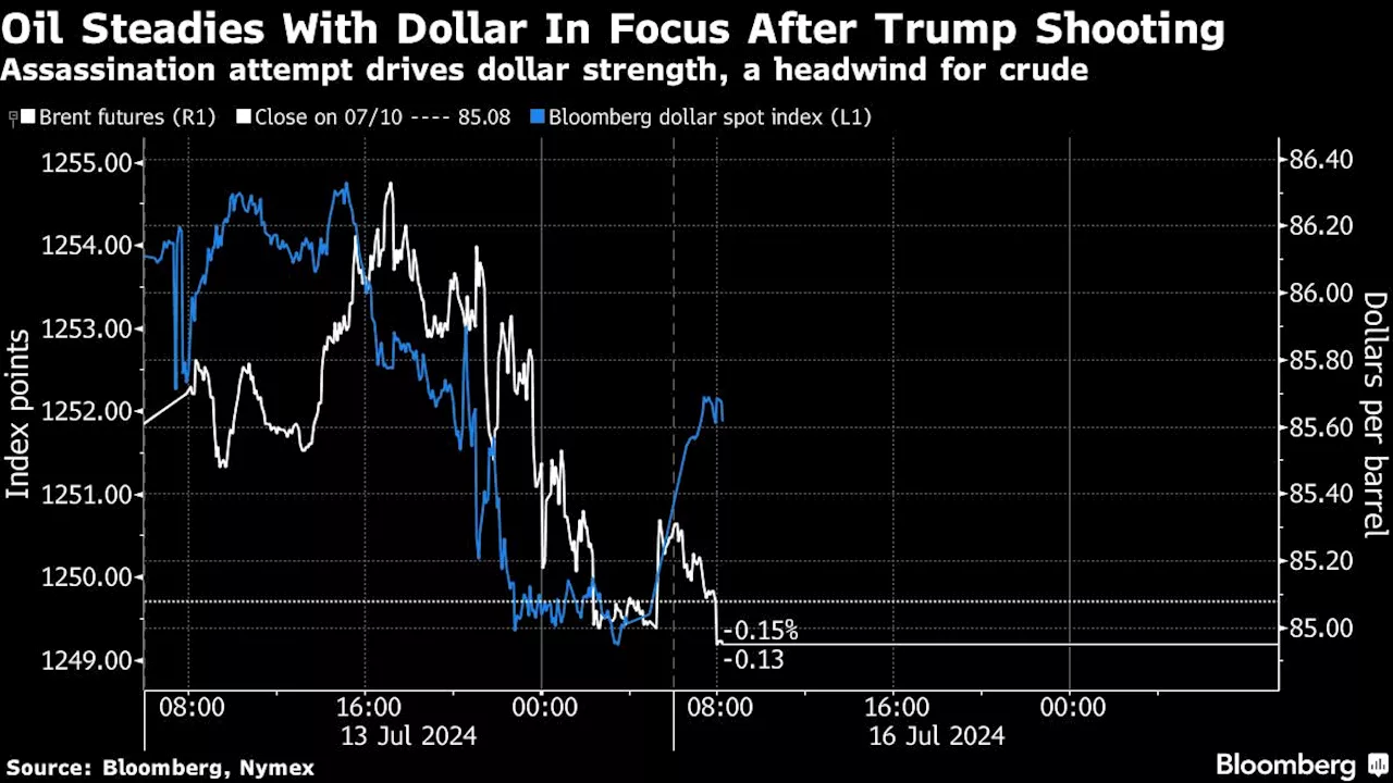 Oil Steadies With Dollar Strength in Focus After Trump Shooting