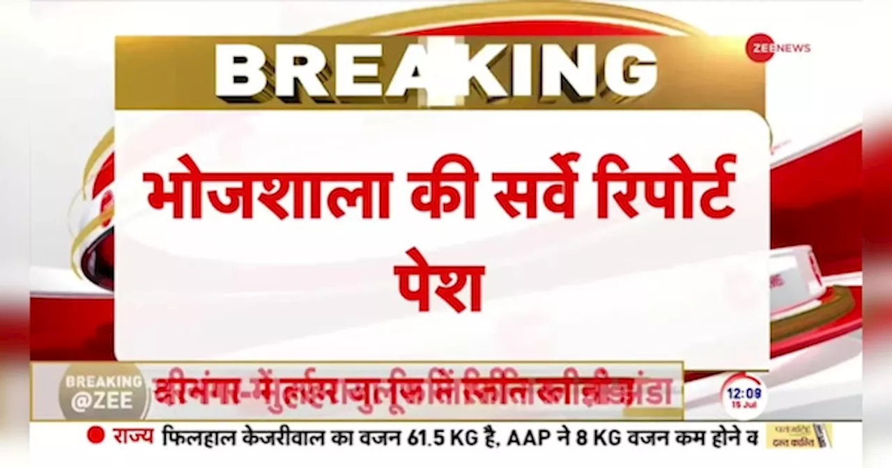 मध्य प्रदेश में धार भोजशाला के सर्वे रिपोर्ट पर वकील विष्णु जैन ने क्या कुछ कहा देखें