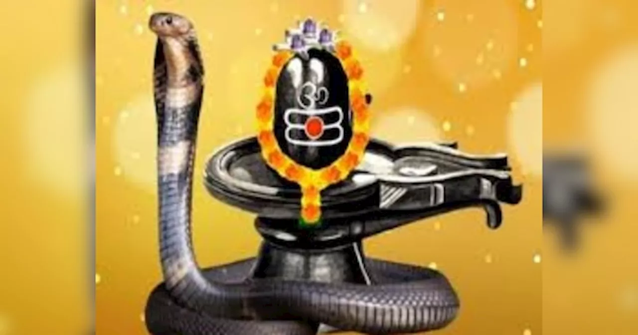 Nag Panchami 2024: सावन में किस दिन मनाया जाएगा नाग पंचमी पर्व? क्लिक कर जानें शुभ मुहूर्त, तिथि और महत्व