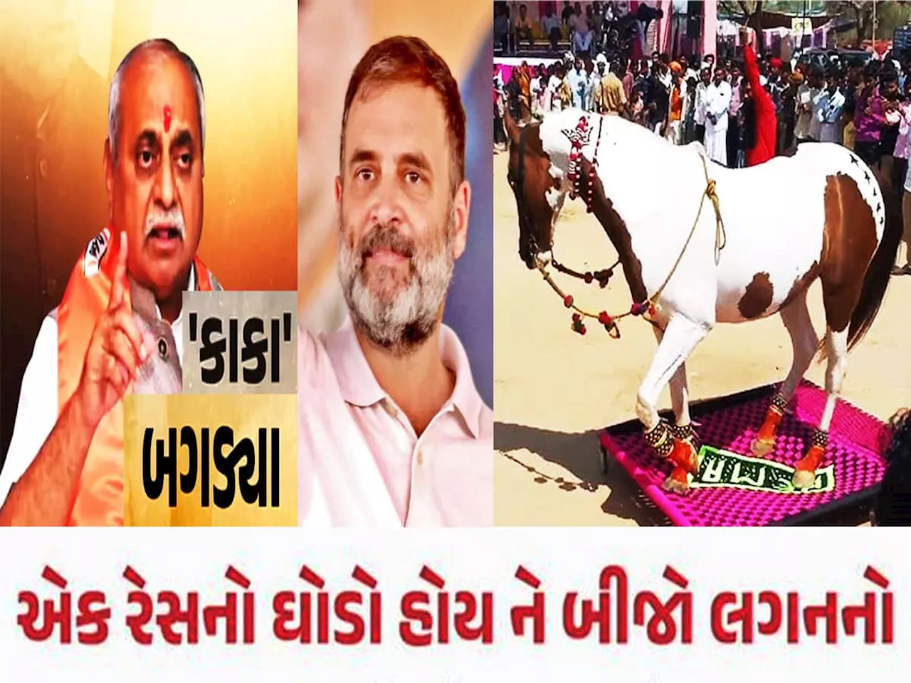 ‘લગનમાં નાચનારા ઘોડા પર વરઘોડો કાઢવો હોય તો કોંગ્રેસવાળાને બોલાવી લેજો’ નીતિન કાકાનો Video Viral