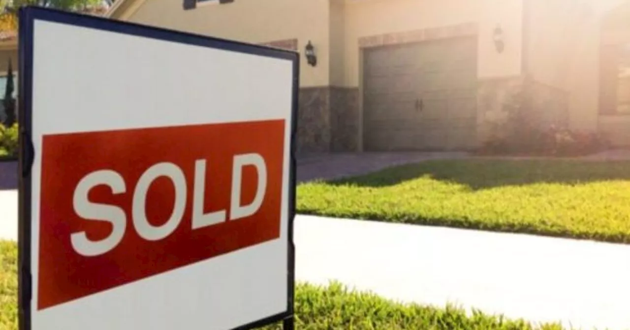 Data: Home sales slow in June as median prices stabilize in San Diego County