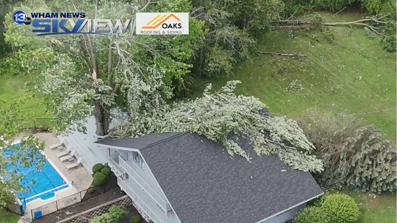 'It was just chaos': Several trees topple along Mendon road during Monday's severe storm