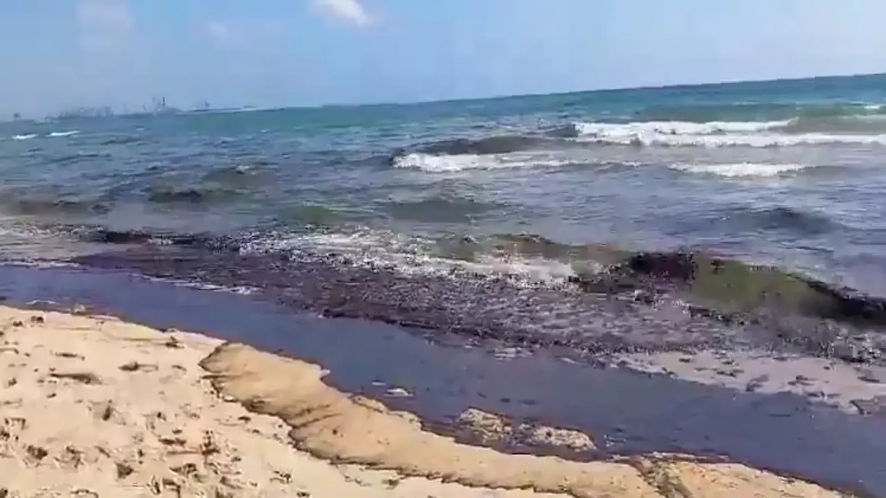 Un vertido de fuel obliga a cerrar la playa del Saler, en el entorno de la Albufera de Valencia