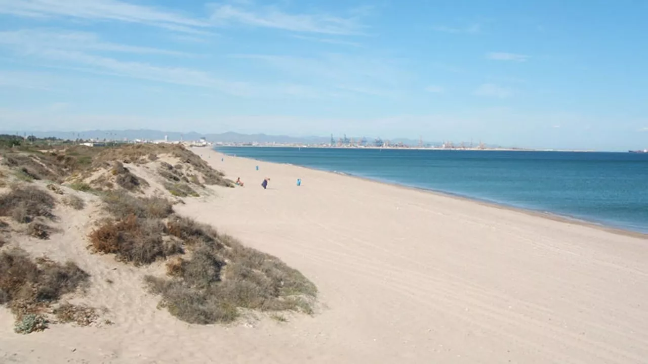 Un vertido contaminante llega a las playas del Saler y a Arbre del Gos en Valencia y obliga a izar la bandera