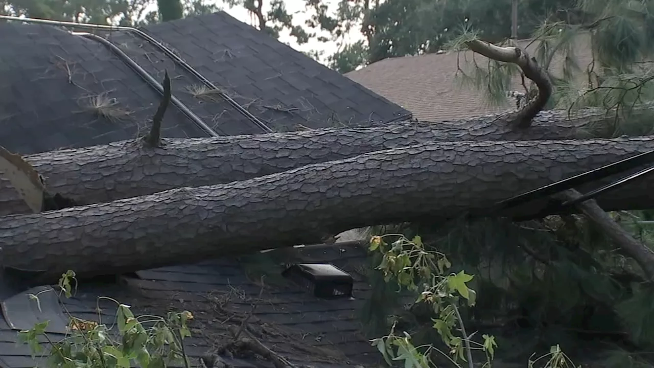 Hurricane Beryl Recovery Fund launched after storm devastates 68,000 Harris County homes