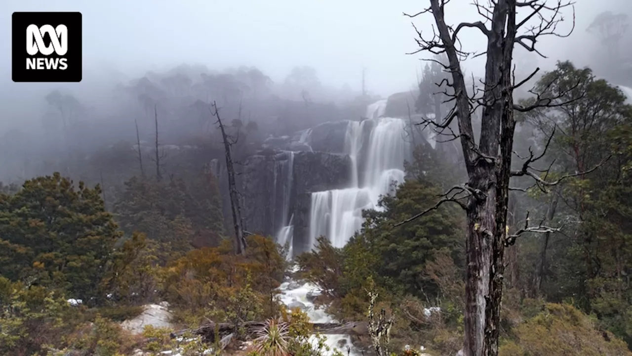 Family rescued from Tasmania's Walls Of Jerusalem National Park after child develops hypothermia