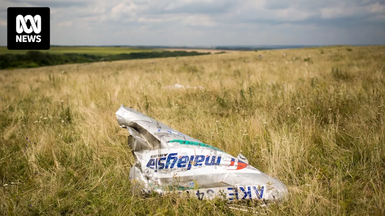 Flight MH17 was shot down in 2014. Here's what happened to the Malaysia Airlines plane