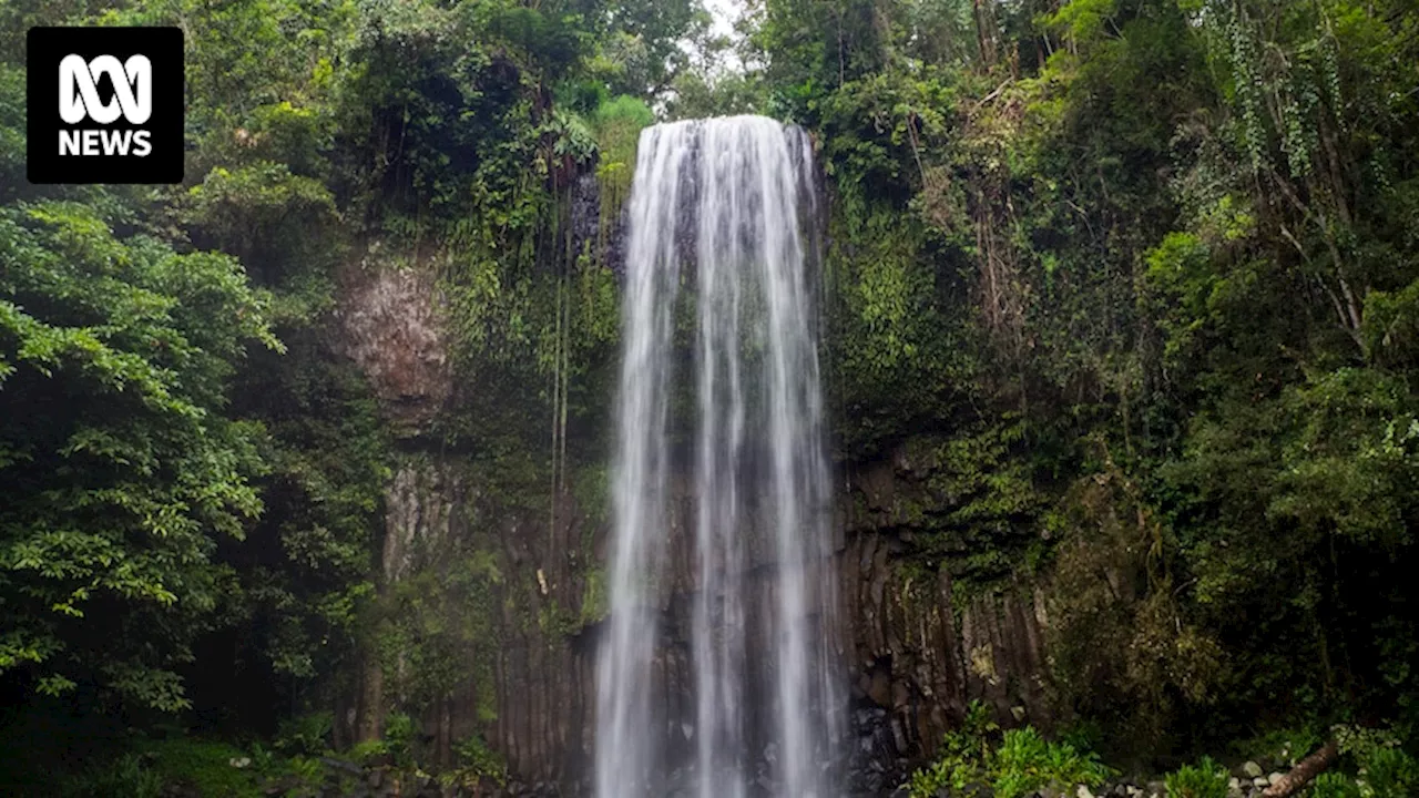 Search for two swimmers reported missing at Far North Queensland waterfall