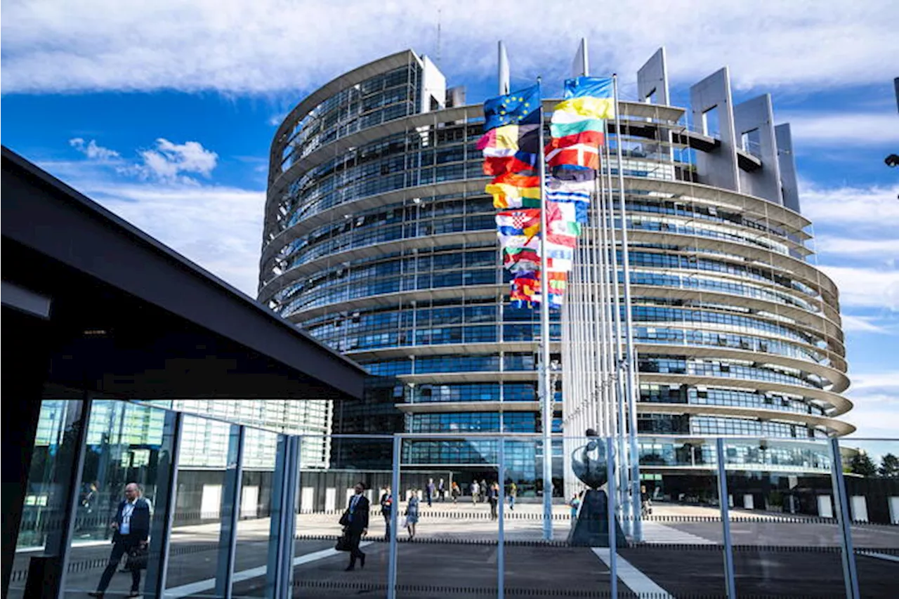 All'Europarlamento il 54% di volti nuovi. Il siciliano Orlando è il più anziano