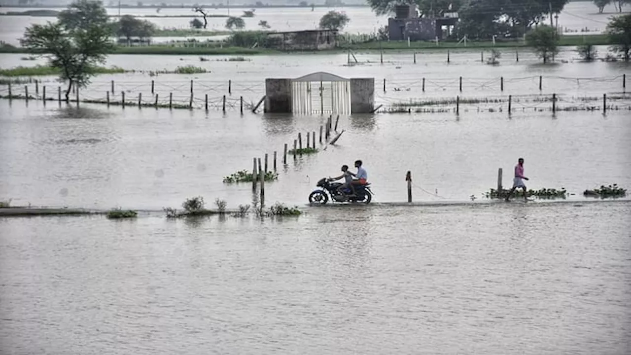 UP Flood: यूपी में 20 जिलों के 900 गांव बाढ़ की चपेट में, सीएम योगी बोले- पीड़ितों को 24 घंटे में दें मुआवजा