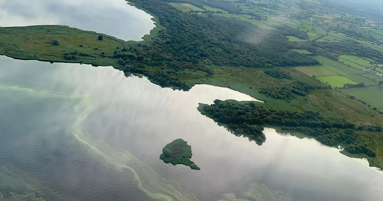 Lough Neagh algae from the air