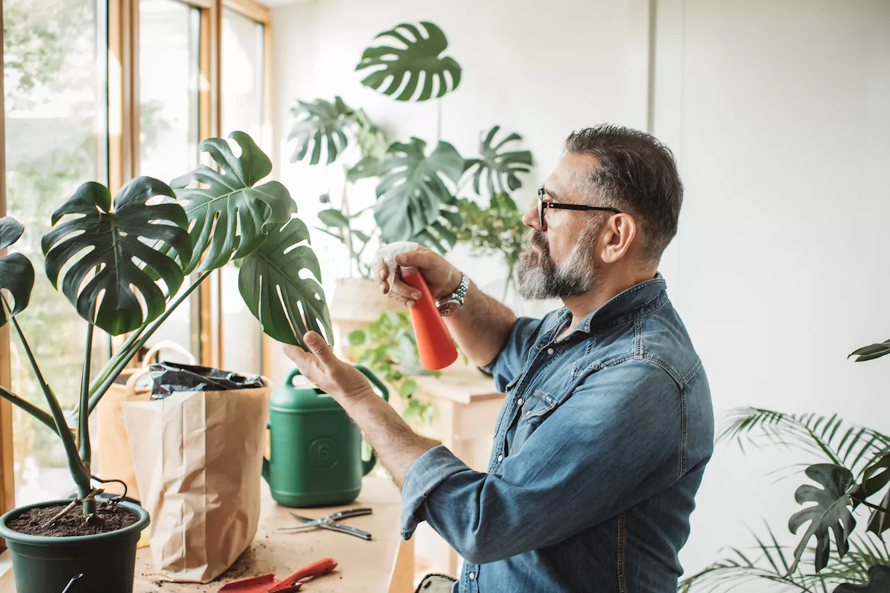 13 Houseplant Care Tips That Gardeners Swear By