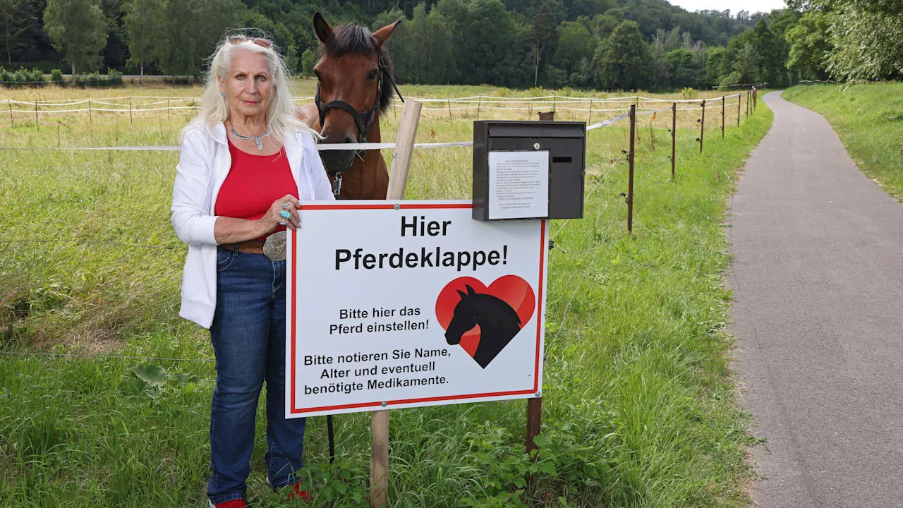 Pferdeklappe in Sachsen: Letzte Hoffnung für todgeweihte Pferde