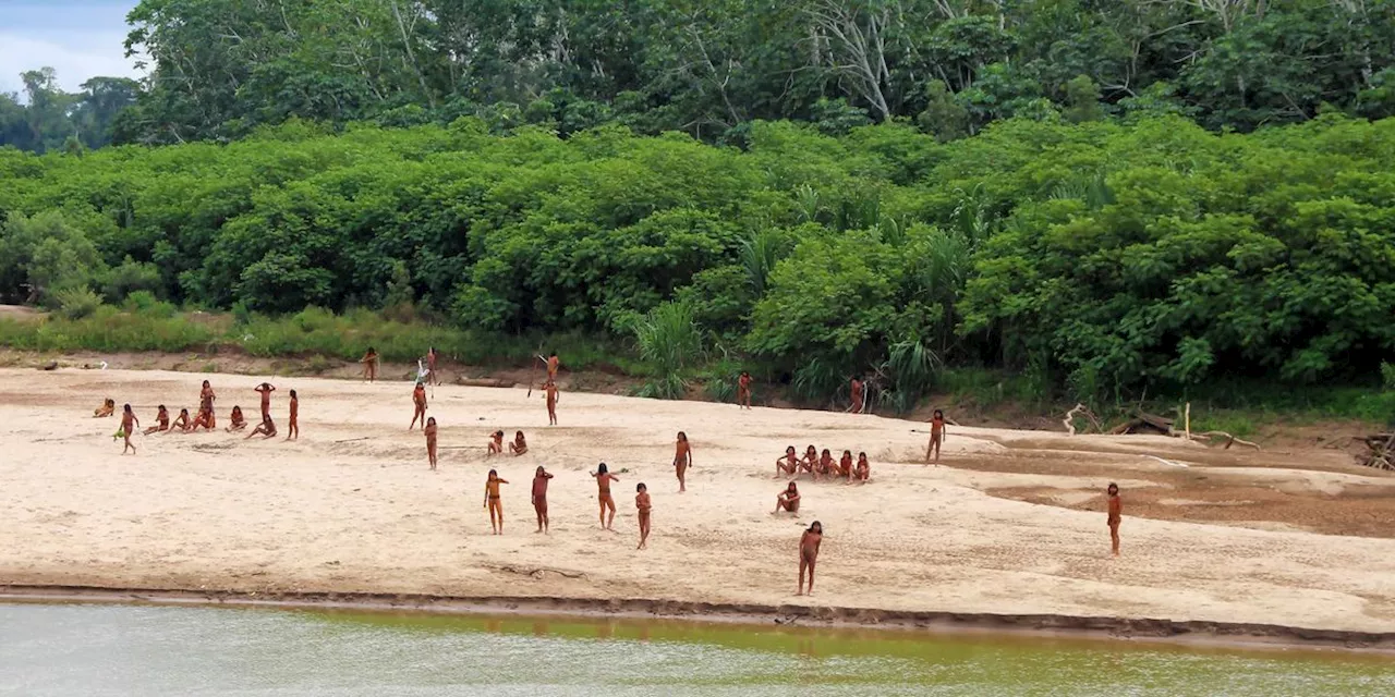 Sightings of Uncontacted Tribe Spur Calls to End Logging in Peruvian Amazon