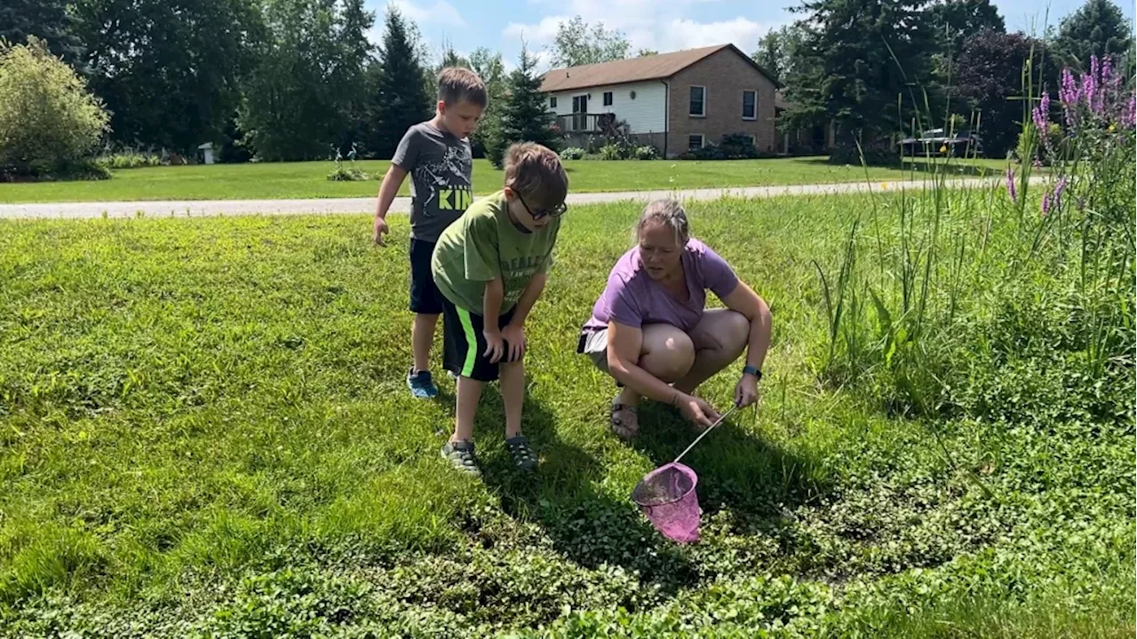 Family near Brockville, Ont. struggling to find summer camps for their children with autism