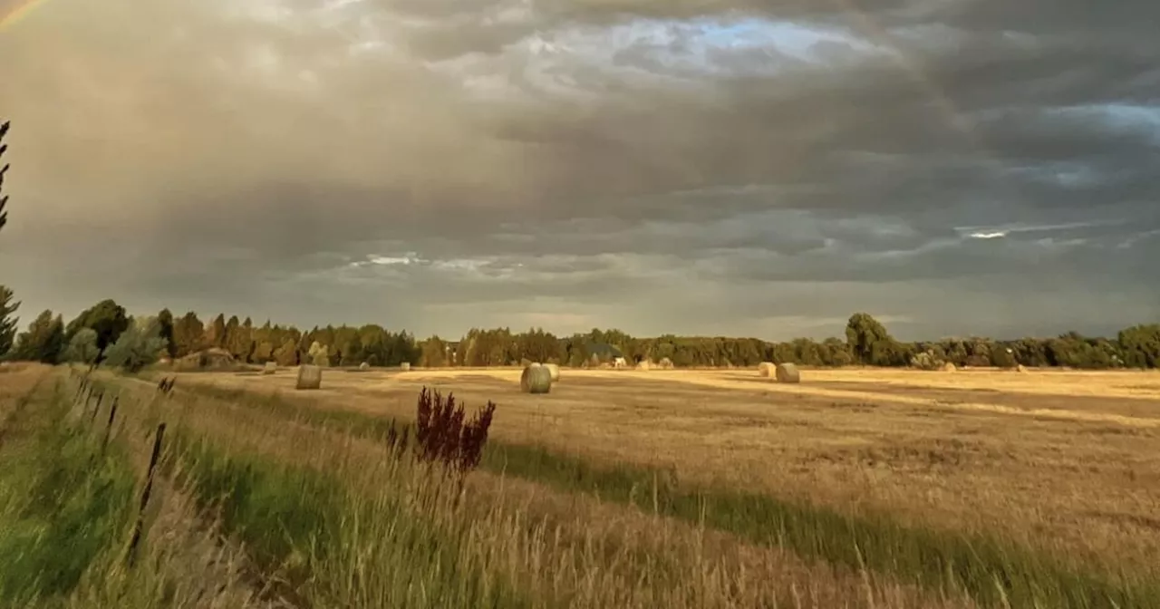 Cooler temperatures and scattered storms move in across the Denver metro area Tuesday