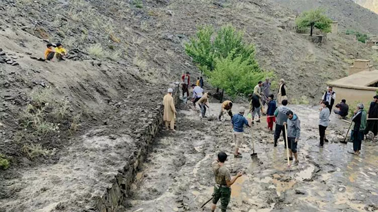 Heavy rains kill at least 35 in eastern Afghanistan: official