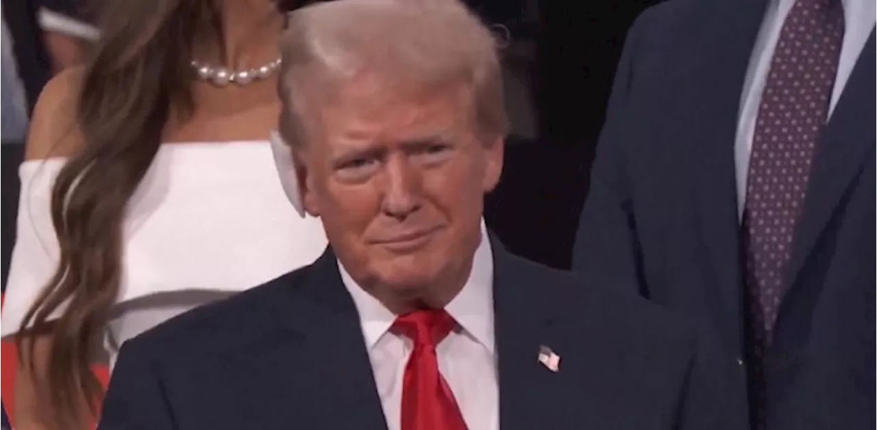 Trump makes first appearance at Republican convention after assassination attempt