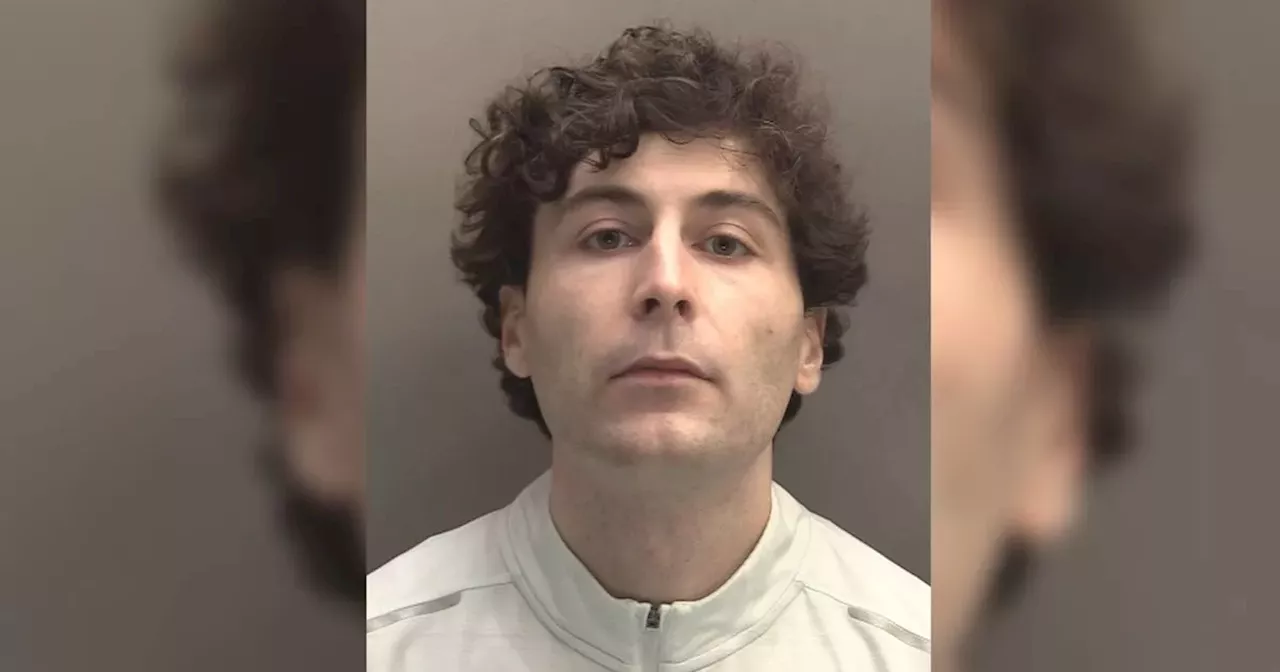 Every word judge said to Ian Fitzgibbon as he was jailed