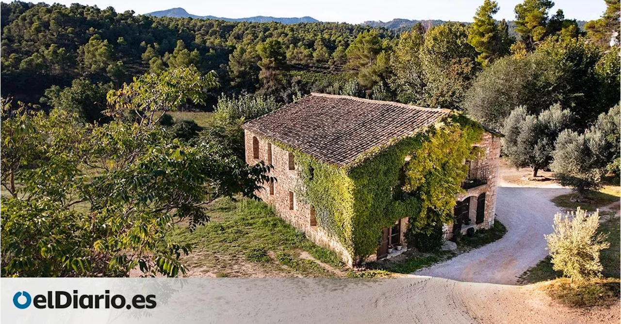 No es la Toscana turolense (ni tiene nada que envidiarle): una ruta de aceite y vino por el Matarraña