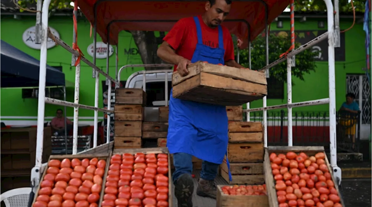 Bukele suspende aranceles a alimentos importados en El Salvador