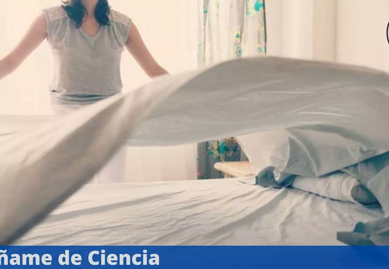 Expertos revelan cada cuánto se deben cambiar las sábanas de la cama