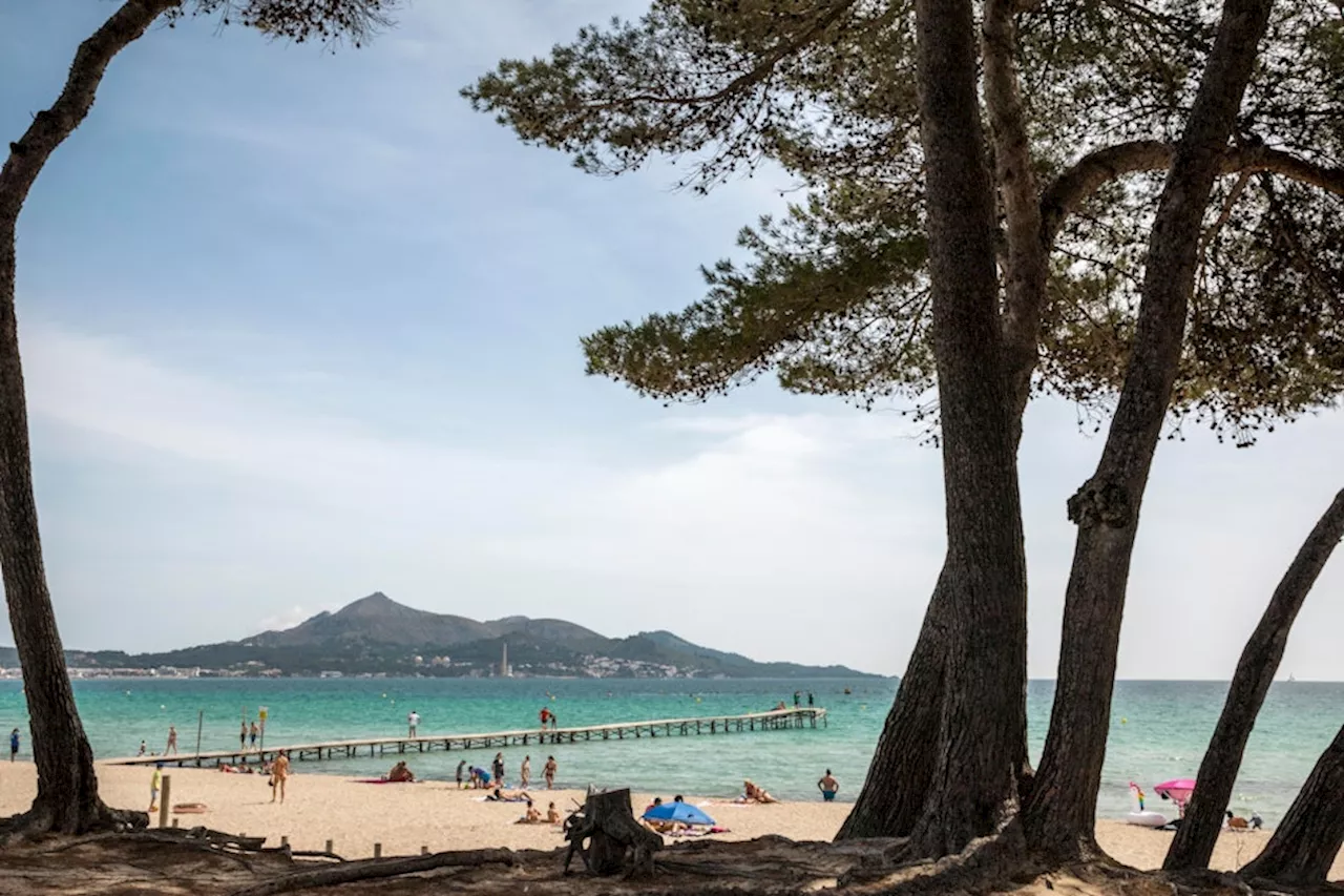 Strand auf Mallorca zum „schönsten Strand der Welt“ gekürt