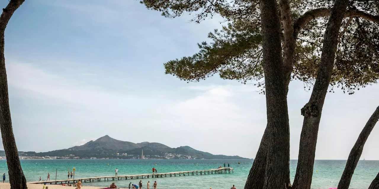 Polizei findet bis auf die Knochen abgemagerte Hunde in Finca auf Mallorca