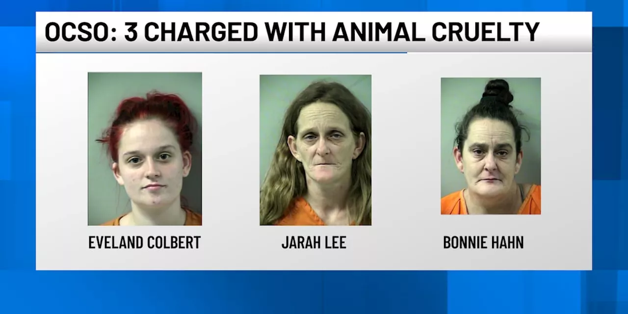 Okaloosa County SO: 3 women arrested and charged with 14 counts of aggravated animal cruelty