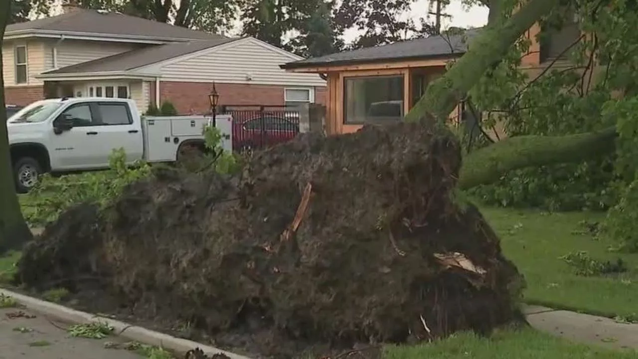 Chicago weather: Cleanup underway following widespead storm damage