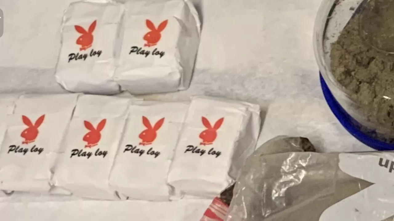 Police seize 25 pounds of 'playboy bunny' labeled heroin, fentanyl in Bronx drug bust