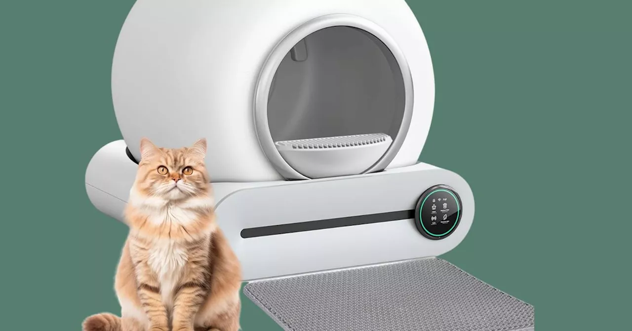 22 Prime Day Pet Deals Both You And Your Pet Will Be Glad You Snagged