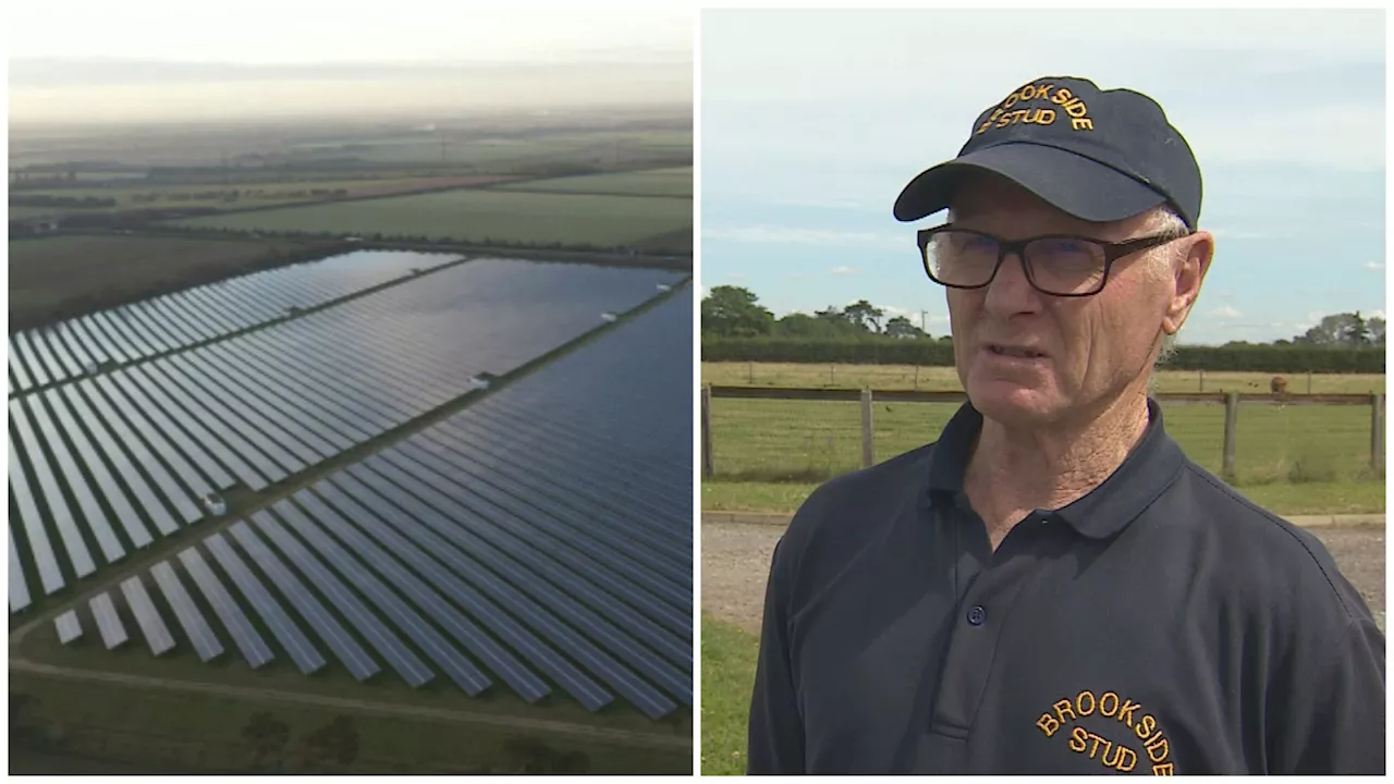 Campaigners fight against Britain's biggest solar farm after plans approved by Ed Miliband